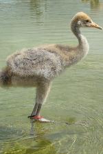 Friedrich on 28th June 2013